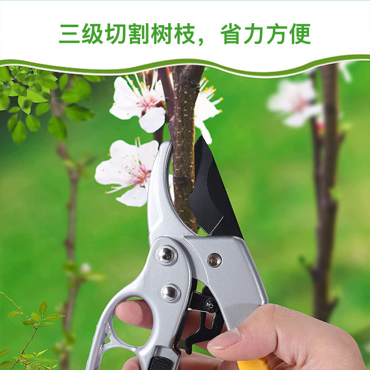 O1CN019A9Dm41kAXlEKE9QQ_!!9836