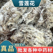 ����ѩɏ���ɻ�  ѩɏ�� �䱳���l���l