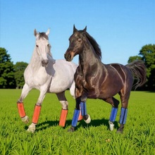 �ļ��R�ȱ��o���R�ȷ�����ِ�R�R�g��Ʒ�R�_���o���R����Ʒ