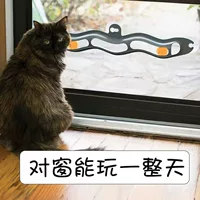 Кошка игрушка кошачья дорожка подоконная присоска игрушечный шарик кошачий ловить кошачий волнистый шарик настольный теннис