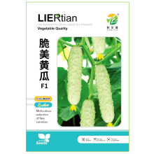 ���������ˮ���S�ϷN ��Ƥ�S�ϷN�� һ�~һ�� ��ժ�@�����÷N