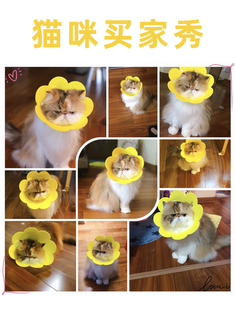宠物伊丽莎白羞耻圈猫咪防咬狗防舔圈项圈猫头套耻辱围脖绝育套围