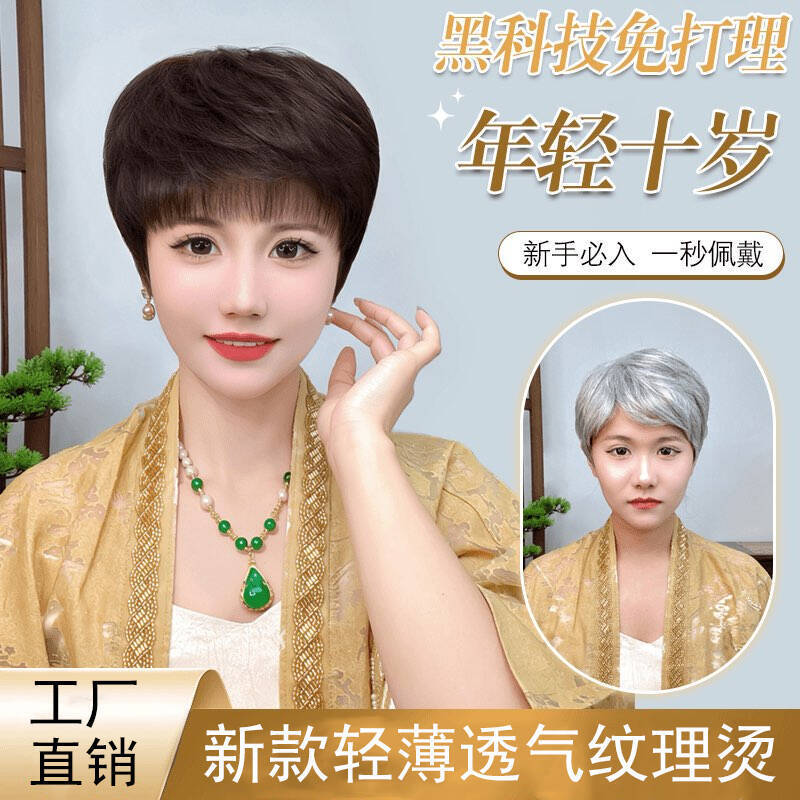 Sister Xia's Same Style Wig for Middle-Aged and Elderly Women, Short Style to Cover White Hair, Natural and Stylish, Age-Reducing Short Hair Wig, Full Headgear Sister Xia's Same Style Wig for Middle-Aged and Elderly Women, Short Style to Cover White Hair, Natural and Stylish, Age-Reducing Short Hair Wig, Full Headgear