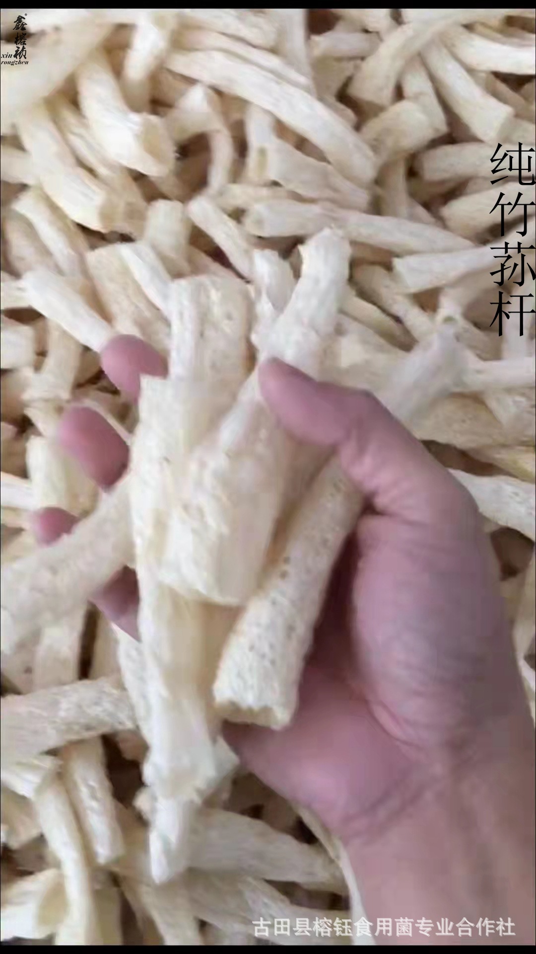 竹蓀桿詳情寶貝