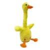 B.Duck, charging version
