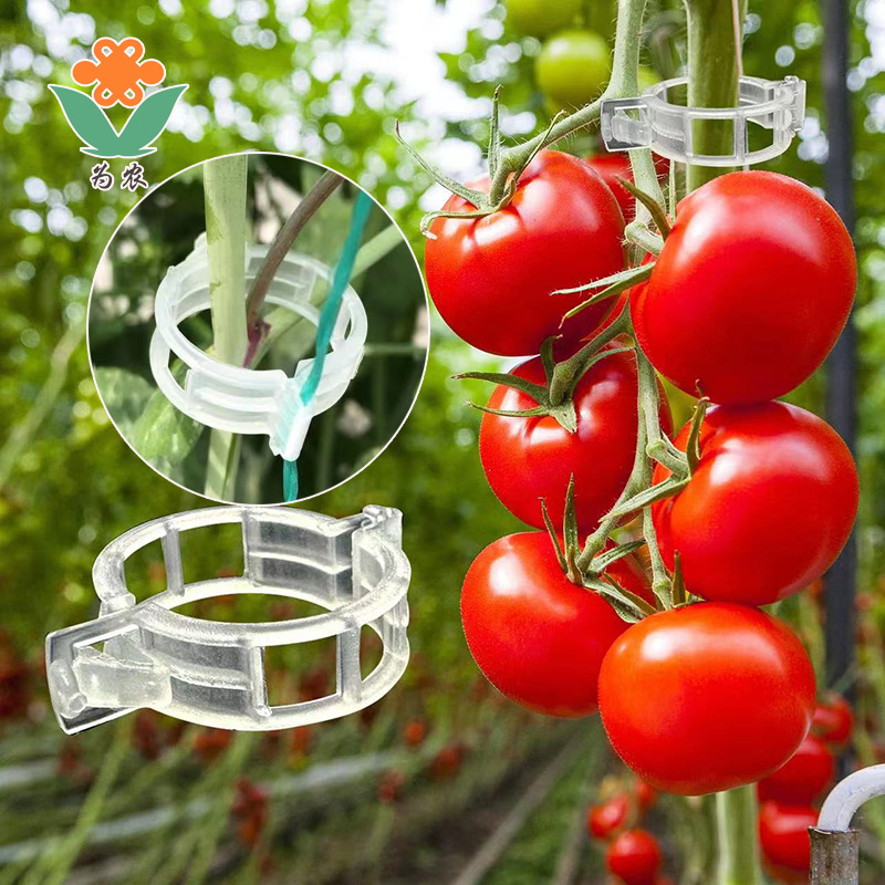 扶蔓固定夹绑蔓夹固定卡扣葡萄藤固定扣藤蔓绿植大棚秧苗固定夹子