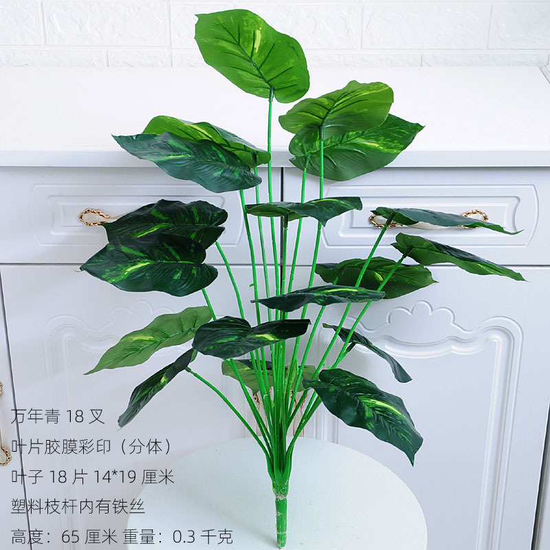 万年青18叉 副本