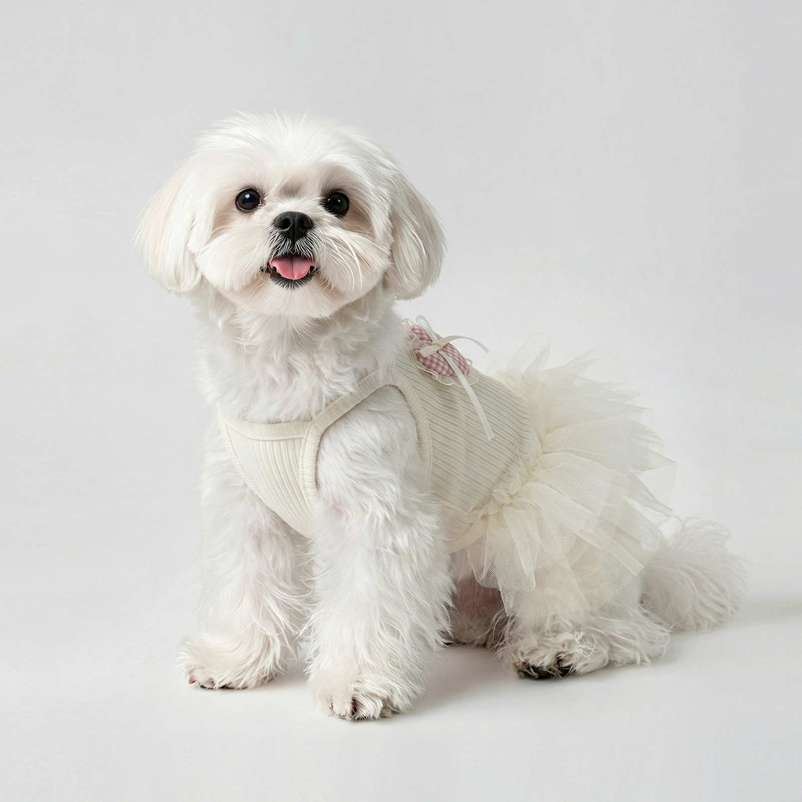 Vêtements d'été pour chiens, robe gilet fine en dentelle anti-mue pour chats, petits chiens à dégradé doré, Teddy, Bichon_voghion.com