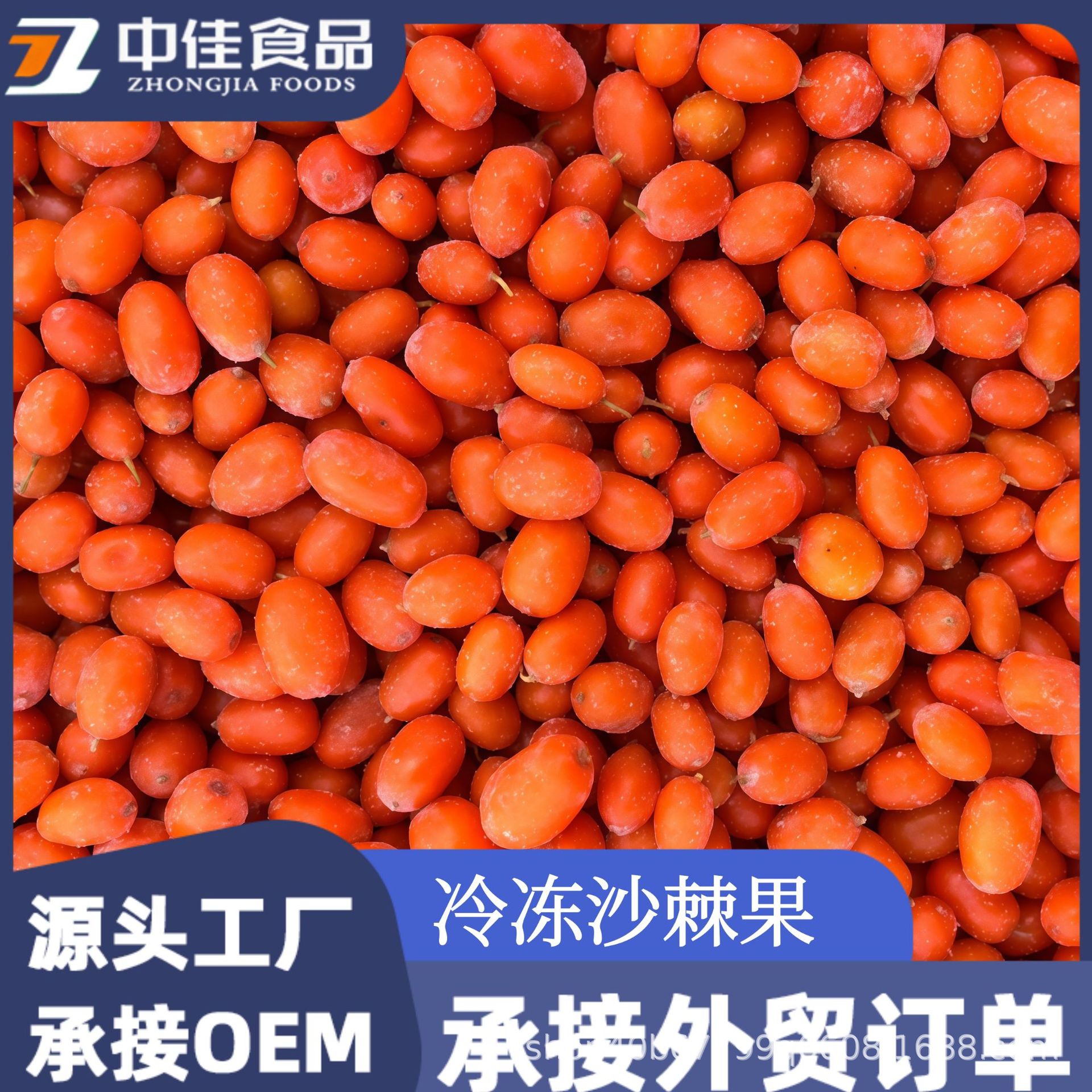 冷冻沙棘果  速冻沙棘果  速冻浆果 果酱果汁商用冷冻水果