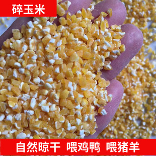 ���r�Fĥ������ι�u����Bֳͨ�������������l�o������Ȼ��������