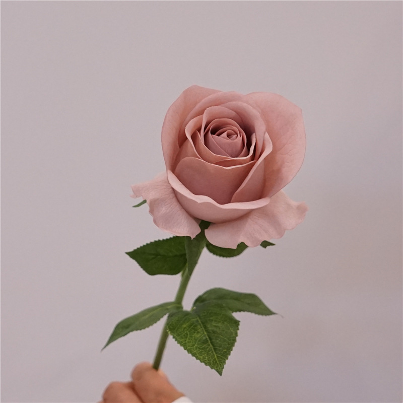 촉촉한 로즈카부