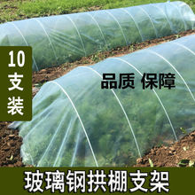 玻璃纤维杆蔬菜小拱工弓棚支架育苗杆竿防晒虫保温膜葡萄农用育苗