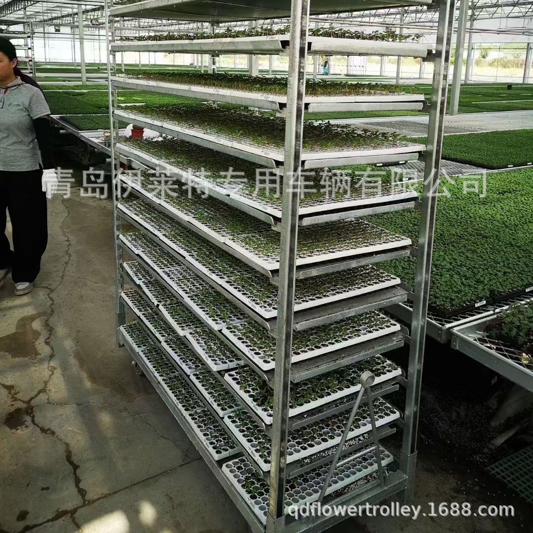 厂家直销花卉催芽蔬菜育苗车，可调节周转车，多层催芽苗车
