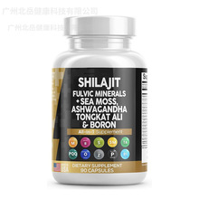 �� �Ɓ��R�d�羳60��ϲ��֥��̦�{����ë�Ϸ������z��shilajit