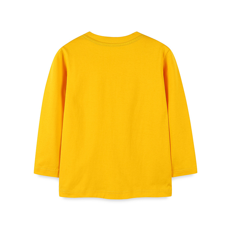 Suministro transfronterizo de 25 nuevos productos de otoño para niños pequeños, camisetas de manga larga, camisetas básicas de algodón de punto con estampado de dibujos animados para niños. image 4