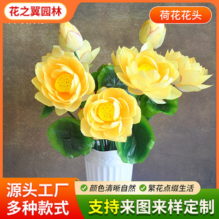 ����ɻ����l ��c���𽁻� ˮ�؈@���b���^����˯ɏ��c