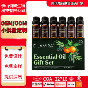 �羳���N ���ͷ��㯟�����b �����՚� �I��Շ� ���M�ØӅf���OӋ