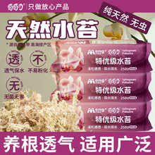 ��Ȼˮֲ̦��Nֲ�߱�ˮ͸��I�B���|���������x�|����ܛ���׸���