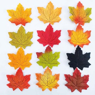 ������~10cm���~50Ƭһ����������٘��~���R�d�����f�}����Ʒ