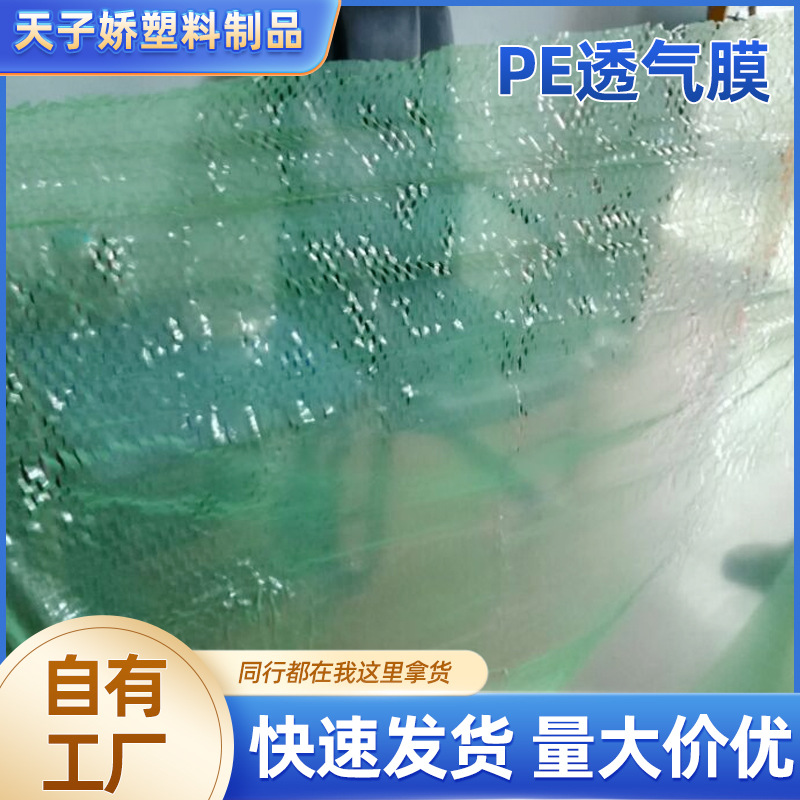 厂家供应 天子娇pe透气膜  绿色刀划膜 刀划膜