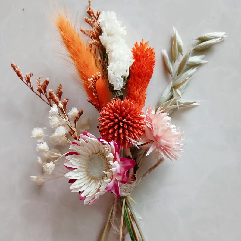 微信图片_20231009085204