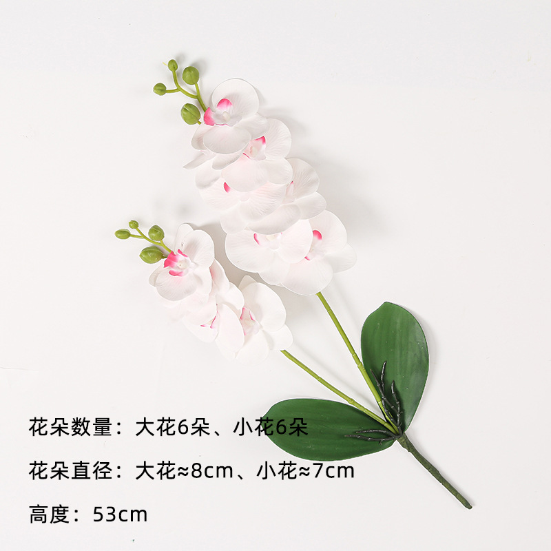 화이트 플러스 핑크 하트