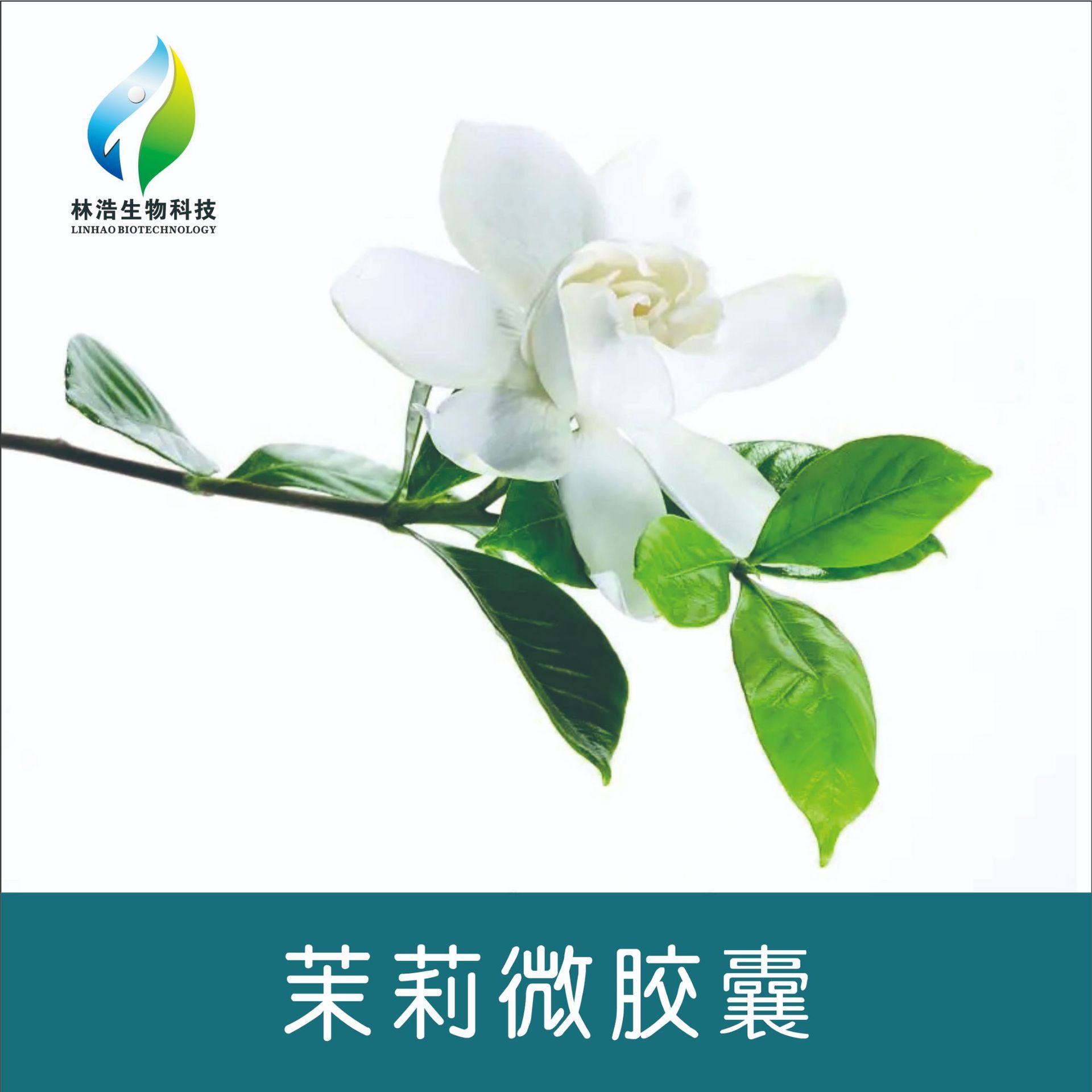 茉莉香微胶囊LHSZ20  搓搓香纺织衣物茉莉微胶囊香味剂芳香整理剂