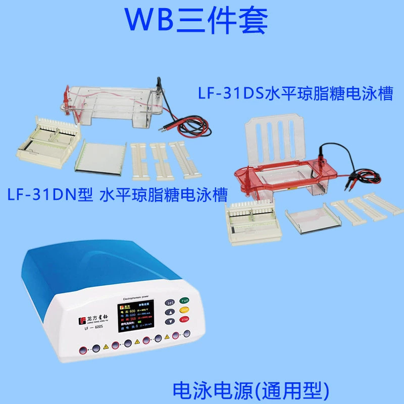 Комплект горизонтального электрофорезного бака LF-600S+31DN/31DS, комбинированный источник питания для электрофорезного прибора постоянного тока Longfang Xingyu