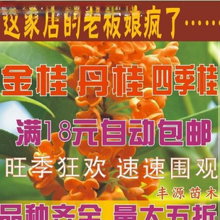 ���𵤹�tѪ�𻨘�������y�𻨠�Ԫ������ɰС���ļ������