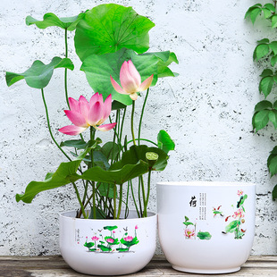 �Ӻ��̖�o��ˮ��˯ɏ��ɏ�ɻ���A�Θ�֬���Ϸ��մɻ�����]�бP