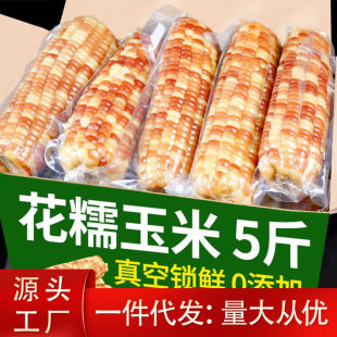 ������p��{��ŴС����5�����r�Fժ��Ŵ����b�_����ʳ�W�����