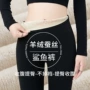 高腰提臀外穿加厚打底裤
