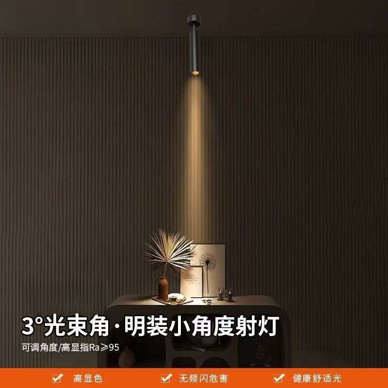 一束光射灯民谣超聚光3度5度光束角摆件花盆桌面字画吸顶轨道灯