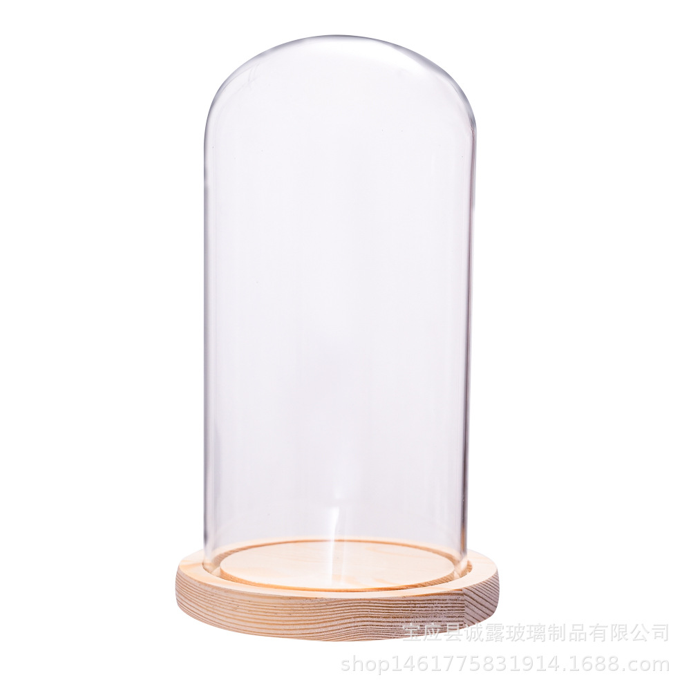 批发永生花玻璃罩发光高硼硅灯罩抖音同款客厅摆件保鲜花创意礼