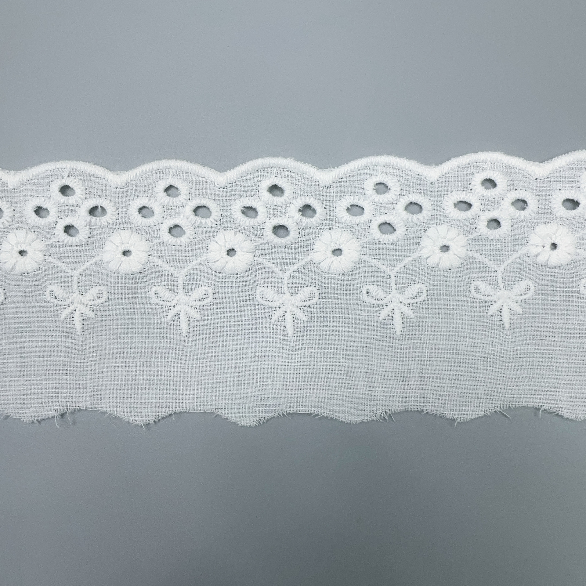 微信图片_20250309194656