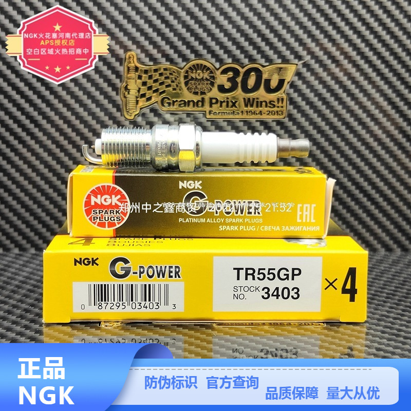 Ngk Spark Plug 3403/Tr55Gp G-Power Series Is Suitable for Ford Classic Focus 1.8