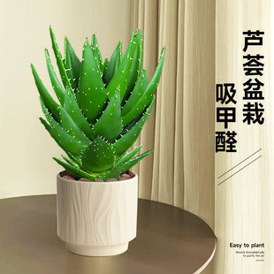 �J�C�����҃Ȏ���������Gֲ����ȩ�����՚����ֲ���ļ����B����