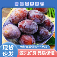 ��÷���rˮ�����l�ЋD�½�����÷��ɽ�r���������䑪�����Ӯ���