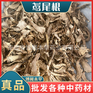 �Sβ����ș�� �����в�ș �������� ����� �F������N�䱳����l