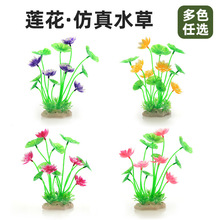 �~���쾰�b�ˮ�ݷ���ˮ�ݺɻ�����ˮ��ˮ�����쾰�����[��