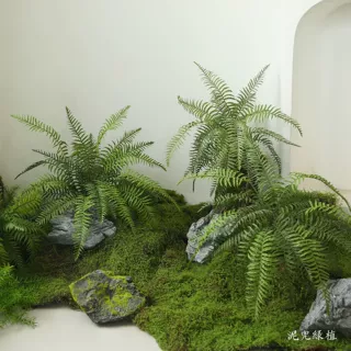 仿真把束蕨叶森系热带蕨类植物民宿酒店装饰摆设橱窗造景波斯绿叶