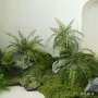 酒店热带植物仿真造景