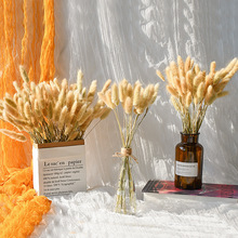 �ɻ������Ĕz�����b[���W�tins�L����ˇ��β�ݹ�β�Ͳ�