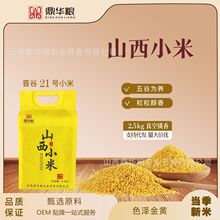 �S�����l�x��21̖�SС���������r����ŴС������s�Z��F؛���l