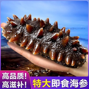 �ش�ʳ����500g���r�����r��8����ײ�Ұ���|���΂��b���lƷ