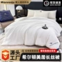 四季春夏酒店同款被芯