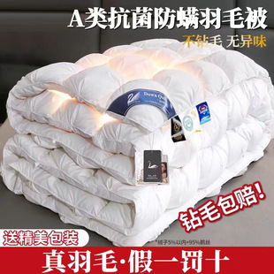All-Cotton Twisted Pattern Non-Down Quilt with White Goose Down, Thickened for Warmth, Feather Winter Quilt Core, Spring and Autumn Quilt for Hotel Use