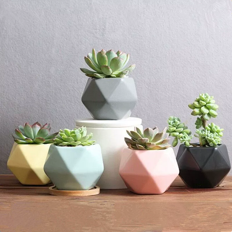 Керамический горшок для суккулентов в стиле макарон, геометрический многоугольник, маленький цветочный горшок с поддоном, контейнер для предотвращения скопления воды