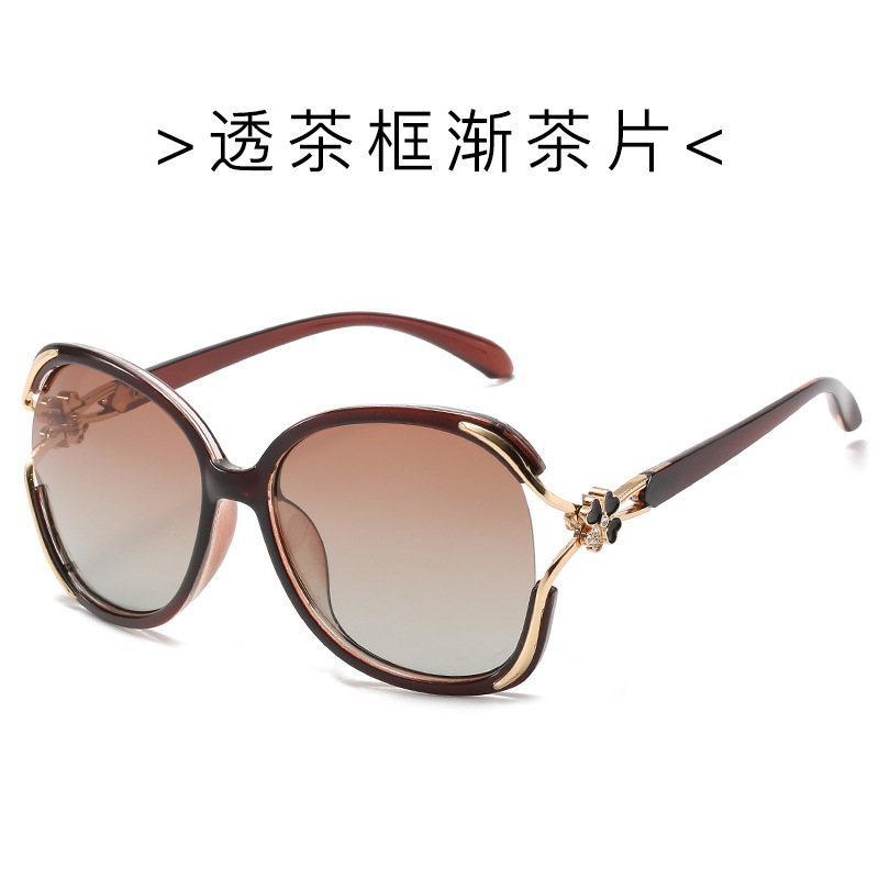 차를 통해 프레임 점진적 차 (편광)