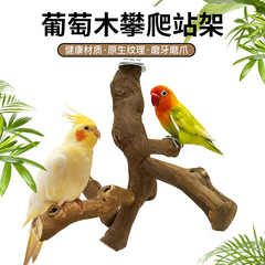 オウムの駅の棒のブドウの木の駅の棚の虎の皮の牡丹の玄風のオウムの生息する爪の駅の棒の鳥はケージの内で装飾します。